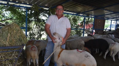 Sındırgı kurban pazarında arefe kalabalığı yaşanıyor