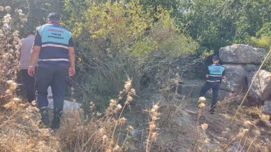 Didim sit alanında kaçak ilek toplayanlar yakalandı