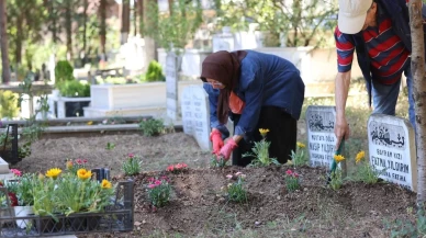 Kocaeli Büyükşehir Belediyesi mezarlıklarda binlerce çiçek dağıttı