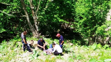 Zonguldak Gümeli yaylasında otomobil şarampole yuvarlandı