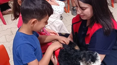 Şırnak anaokulu öğrencileri keçi sağımını öğrendi