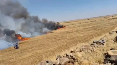 Şanlıurfa Viranşehirde bin dönüm buğday tarlası yandı