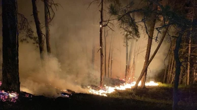 Bolu Göynük orman yangını gece boyunca sürüyor