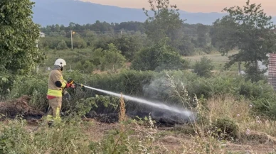 Düzcede yol kenarına atılan izmarit yangına neden oldu