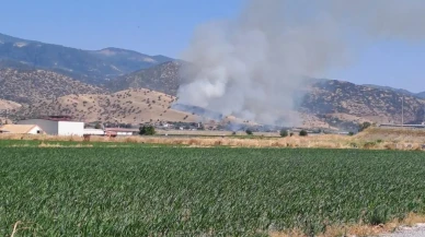 Nazilli Hamidiye Mahallesinde zirai alan yanıyor