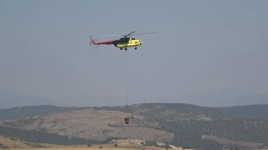 Balıkesir Karesi ilçesindeki orman yangını kontrol altına alındı