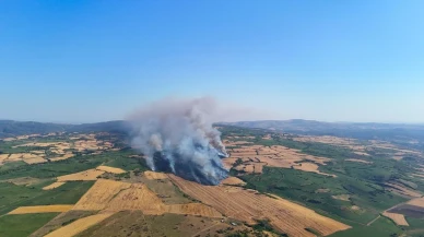 Susurluk tarım arazilerinde çıkan yangın kontrol altına alındı