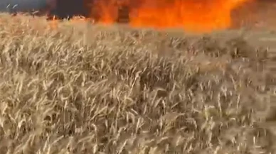 İnegölde 50 dönümlük buğday tarlası yanarak küle döndü