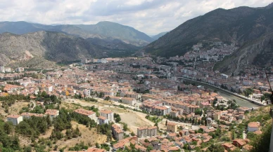 Kahverengi kokarca Amasya tarımını nasıl etkiliyor