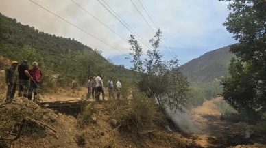 Bilecik Bayırköy makilik yangını kısa sürede söndürüldü