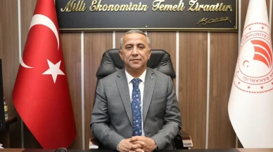 Samsun fındık bahçelerinde kahverengi kokarca mücadelesi başlıyor