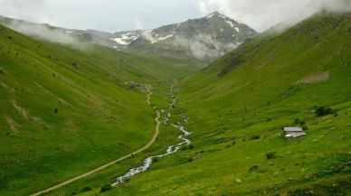 Gümüşhane Dulağa Yaylasında bahar güzelliğini keşfedin