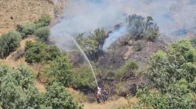 Nazilli İsabeyli ve Beğerli mahallelerinde yangın yayılıyor