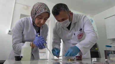 Kurban eti nasıl saklanır uzman yanıtlıyor