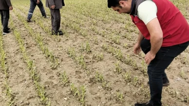 Dolu yağışı Muğla Esençay tarım alanlarını vurdu