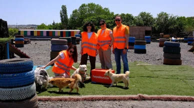 Hepsiburada her basketi sokak hayvanları için dönüştürüyor