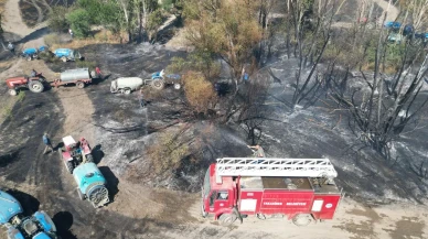 Eber Gölü çevresindeki tarım yangını kontrol altına alındı