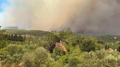 İzmir Menderes orman yangınına 18 uçakla müdahale ediliyor