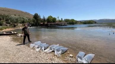 Dinar göletlerine 205 bin yavru balık bırakıldı