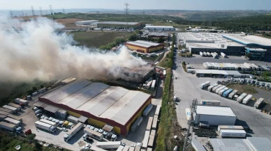 Altın Emlak Global 10 Avrupa ülkesinde büyümeye gidiyor