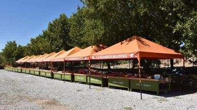 Magnesia Antik Kenti tarihi köy pazarıyla canlanıyor