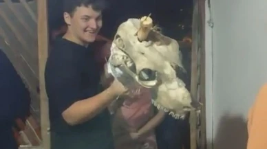 Bolu Bölücekova köyünde deve geleneği yüz yıldır yaşatılıyor