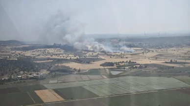 Çanakkale Ezine tarım arazisindeki yangın kontrol edildi