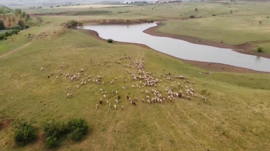 Malkara köylüleri mera için maden şirketine direniyor