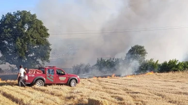 Çanakkale Çan Tepeköyde çıkan anız yangını söndürüldü