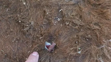 Erzurum Uzunyayla yaylasında silahlı kavga yaşandı