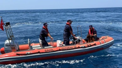 Alanya Kalesi kayalıklarında mahsur dağ keçisi kurtarıldı