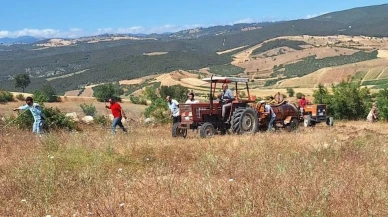 Samsun Vezirköprü buğday tarlasında büyük yangın yaşandı