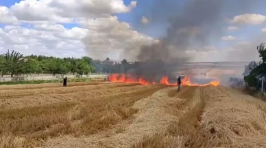 Silivri Çeltik Mahallesinde tarla yangını kontrol altına alındı