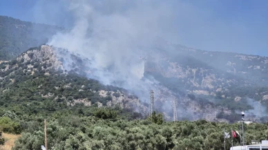 Bodrum Ortakent Midtown AVM yakınındaki orman yangını söndürüldü