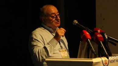 Türk Fındığı Ozon Gazına Karşı Çözüm Sunuyor