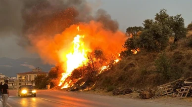 Milas düğün konvoyunda atılan meşale yangına dönüştü