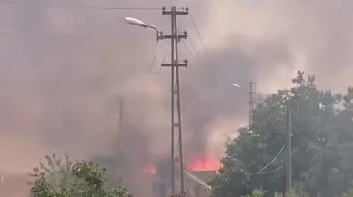Adıyaman Hasankendi Köyünde ekin yangını paniğe yol açtı