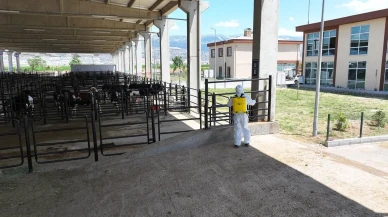 Kahramanmaraş Hayvan Borsası Kurban Bayramına hazırlandı