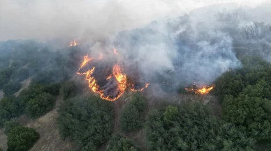 Manisa Kula makilik yangını ekipler tarafından söndürüldü
