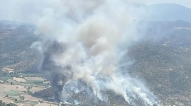 Söke Nalbantlar Mahallesinde tarım arazisinde yangın söndürülüyor