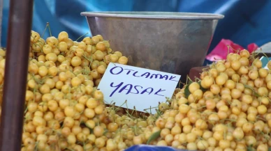 Tekirdağ Kiraz Festivali tezgahlarındaki yasak yazısı kaldırıldı