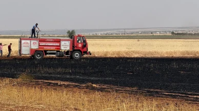 Araban Ovasında buğday tarlası yangında yok oldu