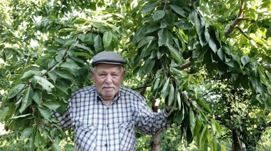 Ege Bölgesinde meyve ağaçları ürün vermiyor