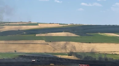 Tekirdağ Çorluda büyük buğday tarlası yangını yayıldı