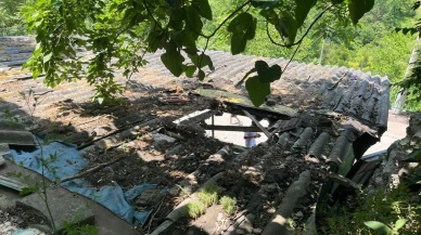 Kocaeli'de çatıdan düşen boğa otomobili parçaladı