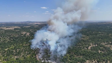 Edirnede Ömeroba köyündeki orman yangını söndürüldü