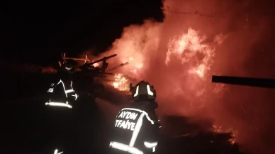 Aydın Çeştepe Mahallesinde inşaat deposu alev aldı