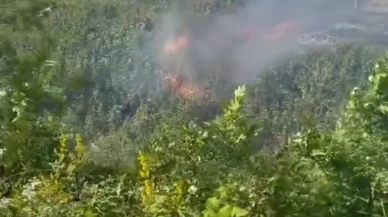 Sakarya Akyazıda otluk yangını D140 yolunu kapladı