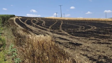 Hayrabolu Susuzmüsellim Mahallesinde arpa tarlası yanarak yok oldu