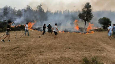 Muğla itfaiyesi 380 anız yangınını söndürdü